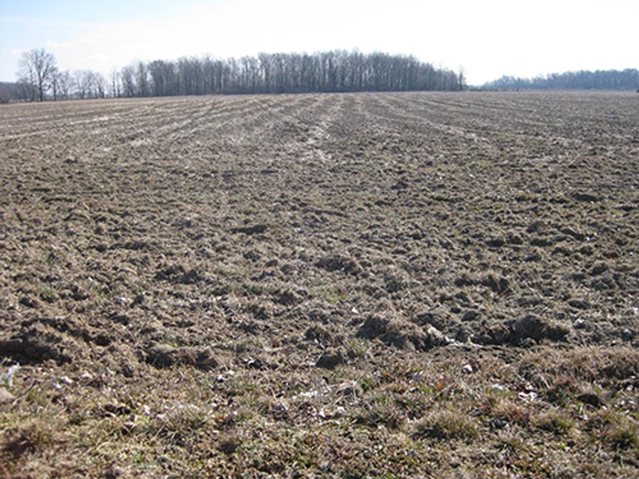 116 +/- Acres Offered in 4 Tracts - Land & Cattle Facility Auction